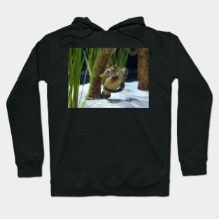 Seahorse Hug Hoodie